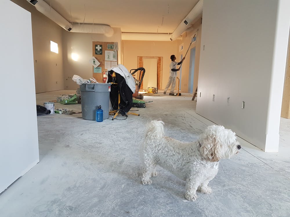 cold lake home renovations